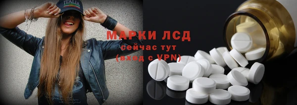 мдпв Елабуга