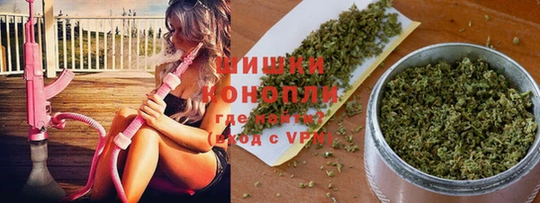 соль курить ск Ельня