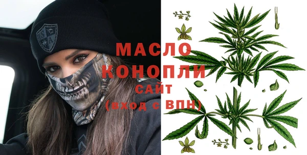 мдпв Елабуга