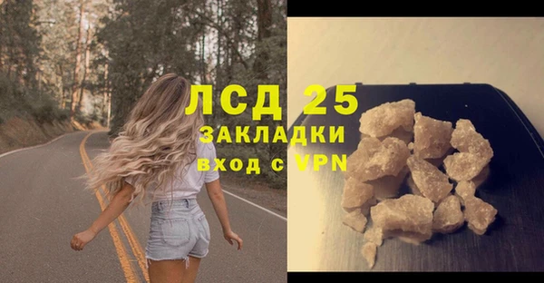 мдпв Елабуга