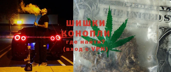 мдпв Елабуга