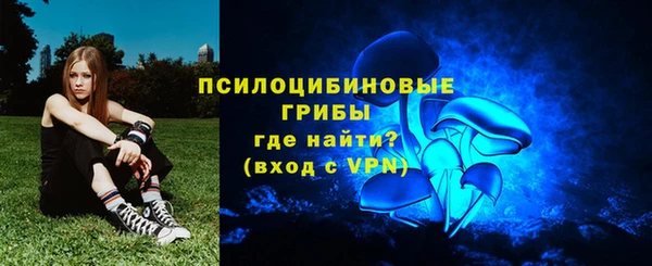 мдпв Елабуга