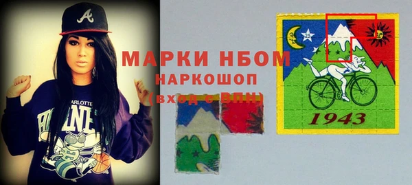 мдпв Елабуга