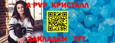 индика Гусев