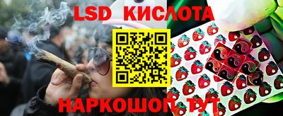 эйфоретик Гусь-Хрустальный