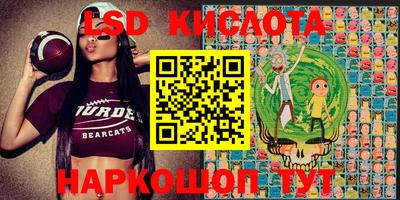 эйфоретик Гусь-Хрустальный