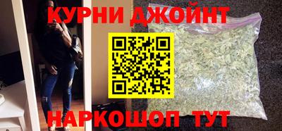 индика Гусев
