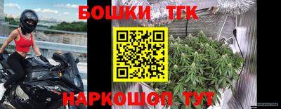 индика Гусев