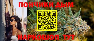 индика Гусев