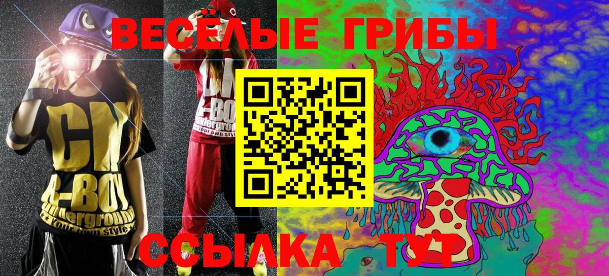 Псилоцибиновые грибы мицелий Знаменск